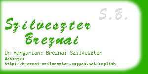 szilveszter breznai business card